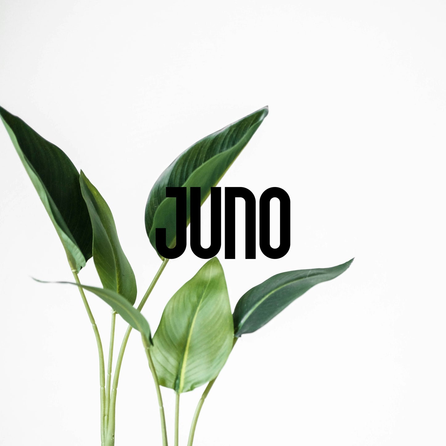 JUNO