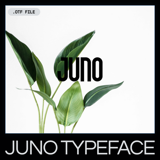 Juno typeface display with green leaves on a white background