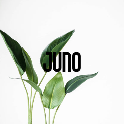 JUNO